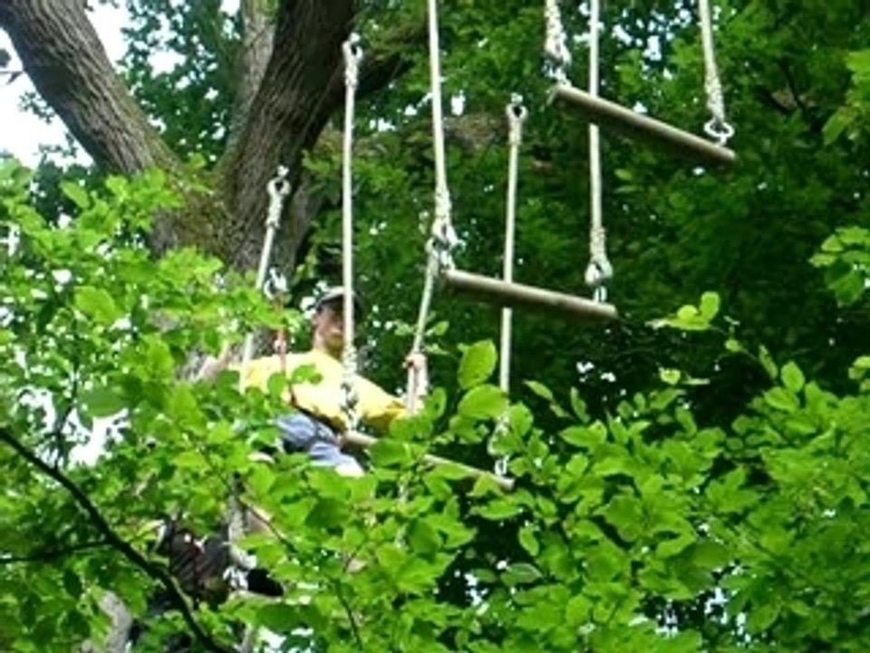 Chris et bertrand sont entre deux arbres