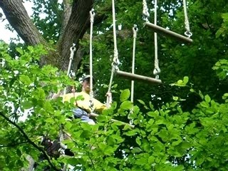 Chris et bertrand sont entre deux arbres