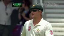 Ridiculous celebration by Shane Watson vs Chris Gayle