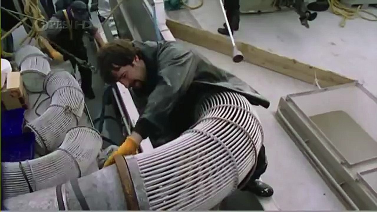 Habitat of the Orca Killer Whales & Sea Creatures 39