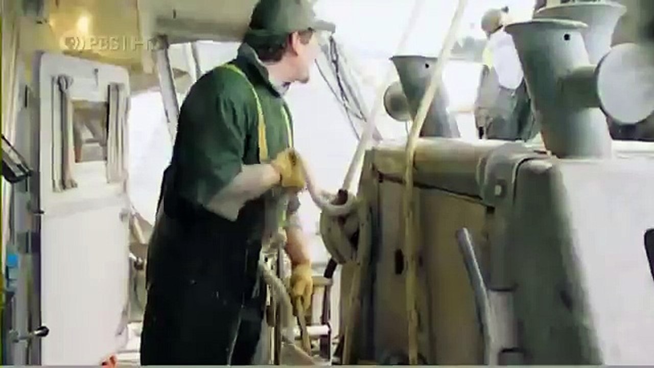 Habitat of the Orca Killer Whales & Sea Creatures 40