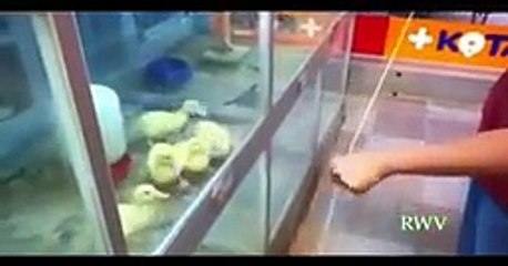 Win   Luck Compilation of 2011