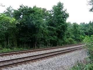NS 213 at Adams