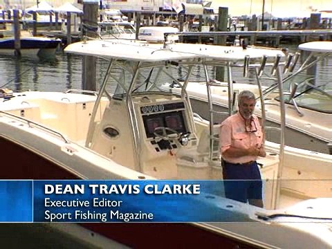 World Cat Flash Test