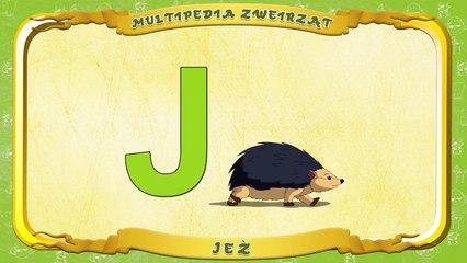 Multipedia Zwierząt. Litera J Jeż
