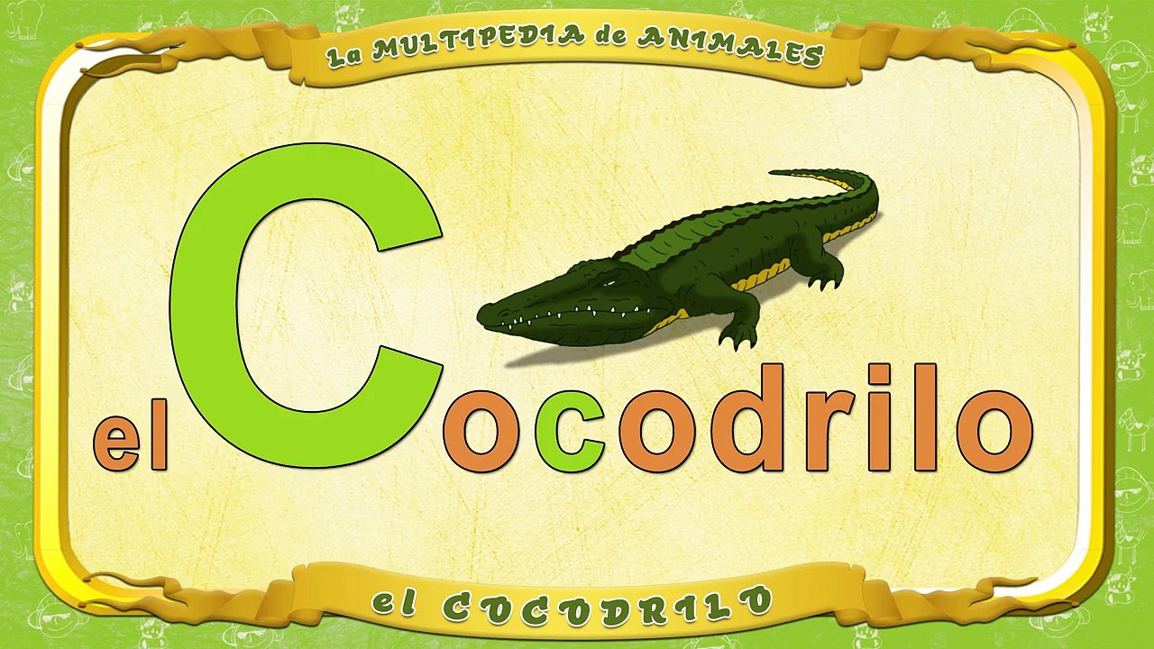 la Multipedia de animales.Letra C el Cocodrilo