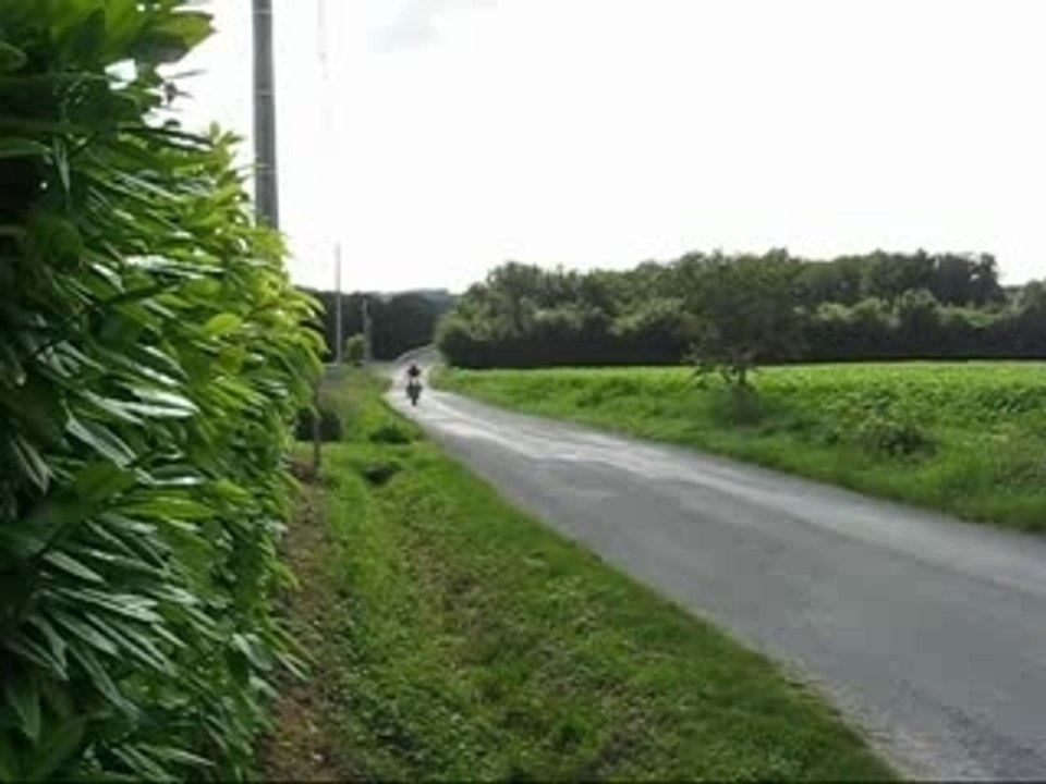 250 kawa