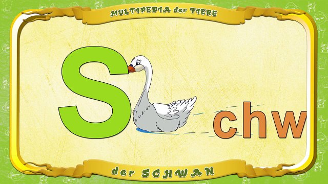 Multipedia der Tiere Buchstabe. S der Schwan