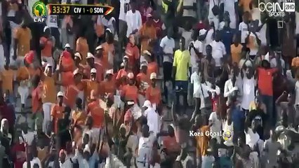 Ivory Coast vs Sudan 1-0 All Goals & Highlights HD 25-03-2016