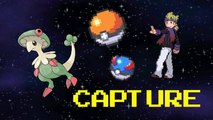 Chapignon - Capturer des pokemons