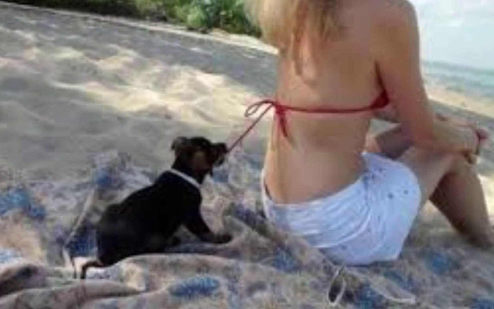 ⁣Funny And Fail Of Pet Loving Dog- Love Bonding Moments Photos