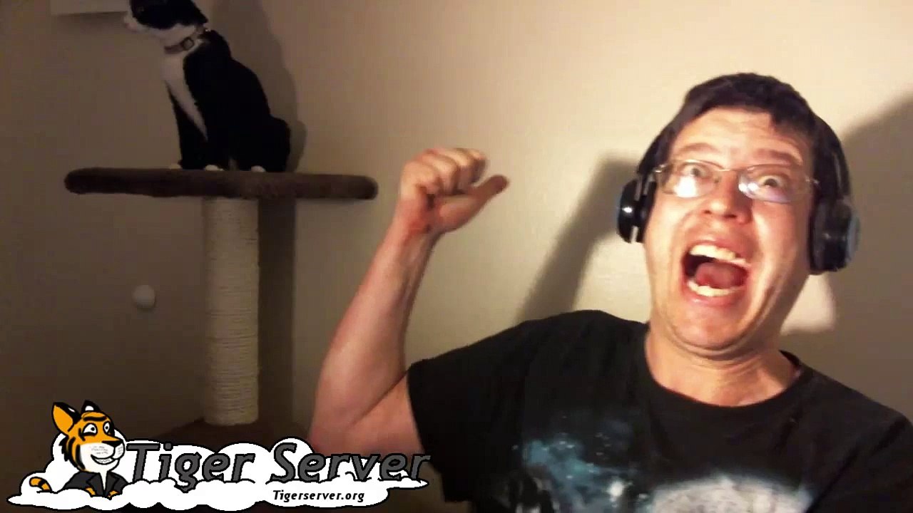 Me Vs Cat (Topic rwmtiger video)