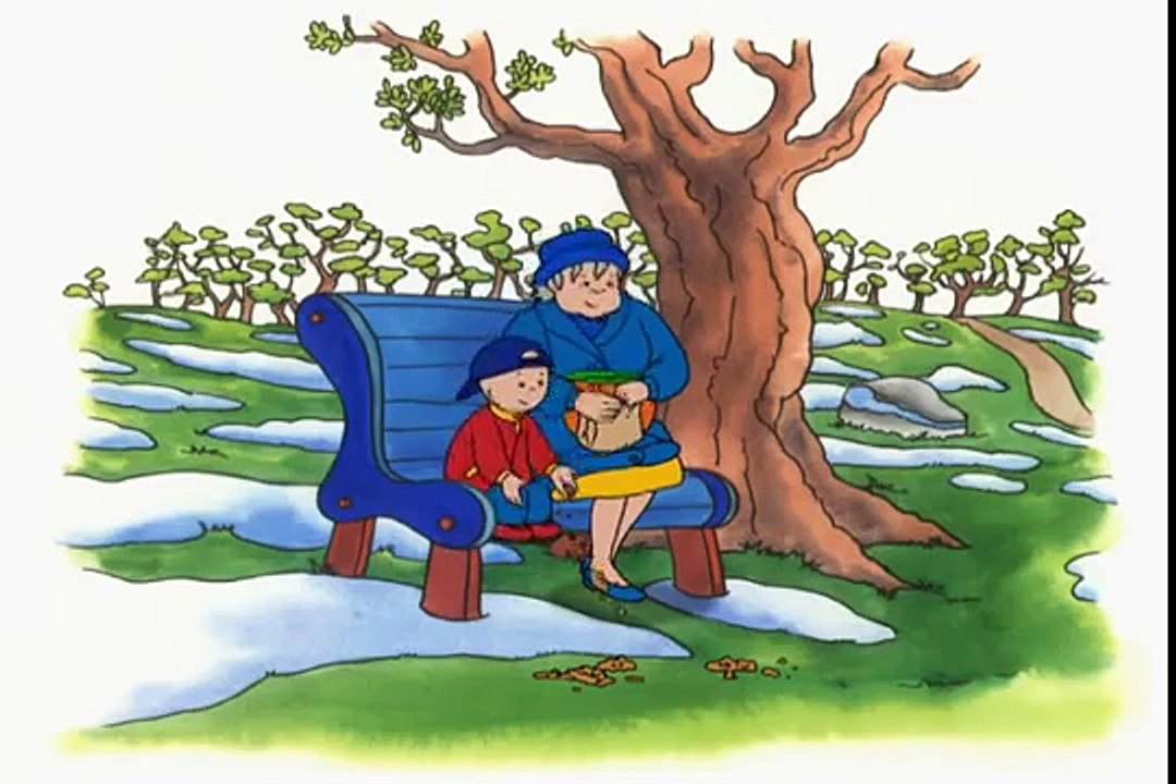 Caillou FRANÇAIS - Caillou observe les oiseaux  (S01E58)