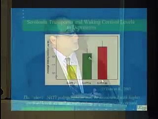 The Biology of Depression The Affects of Stress 25