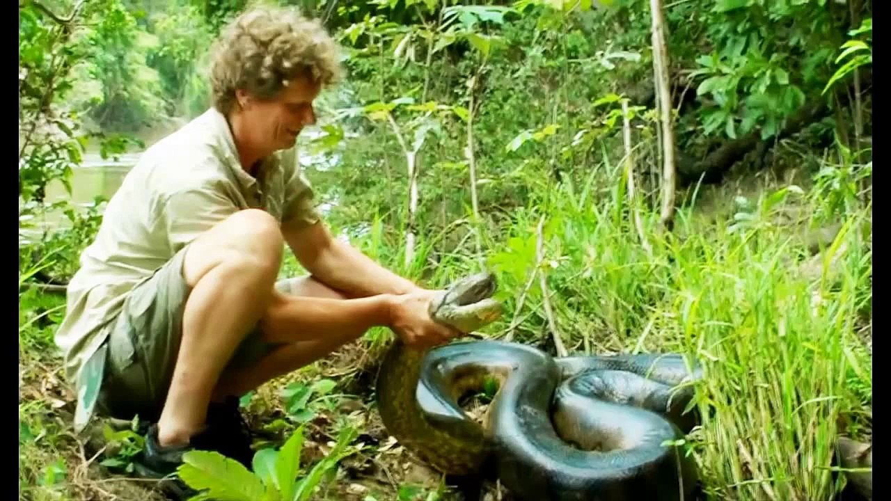 Giant snake killing instinct