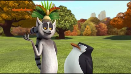 Penguins funny moments (crack!vid) 1 season