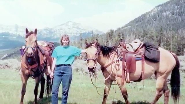 Va A Fare Una Cavalcata Di Notte… Guardate Cosa Succede Alla Coda Del Cavallo! WOW!