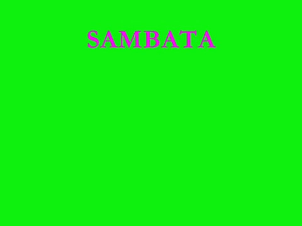 SAMBATA
