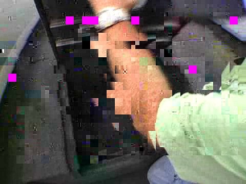 Polar Kraft TX 175 Pro - Storage/Livewell