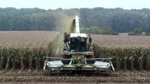 Mais Hakselen 2010 : loonbedrijf Snijders/Cerfontaine met Fendt 930 en Kaweco kipper