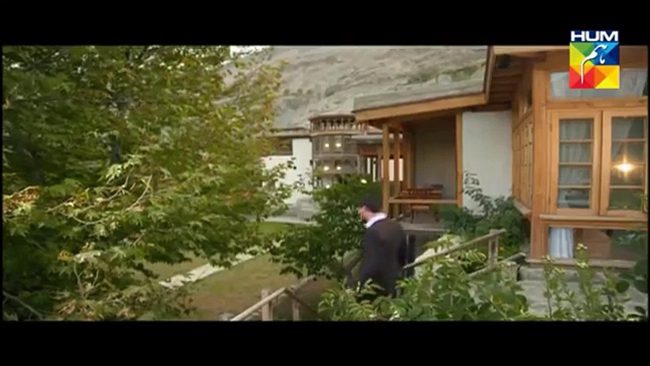Diyar-e-Dil's Fara & Wali on Nabeel Shaukat Ali's Bewajah