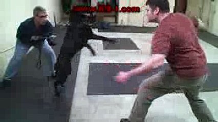 Fight Drive Temperament Test on German Shepherd (www.K9-1.com)