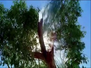 Alan Watts Confusions Of The Mind.flv