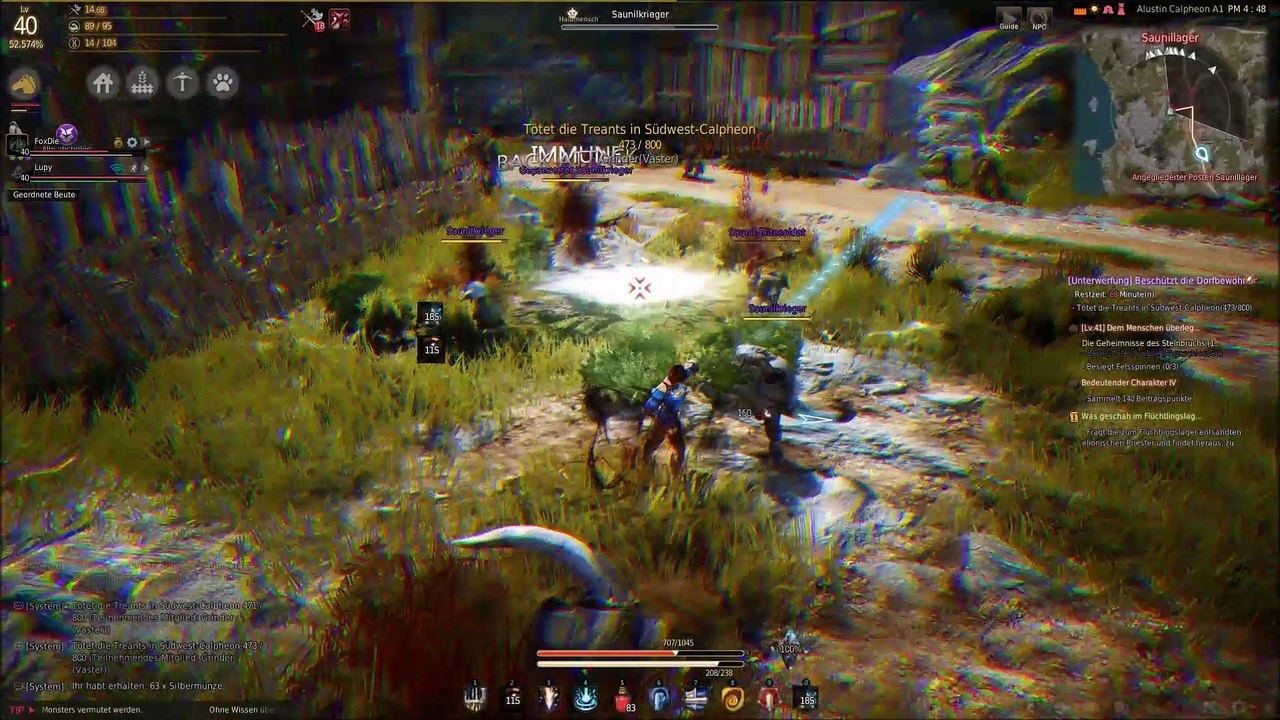 Black Desert Fight