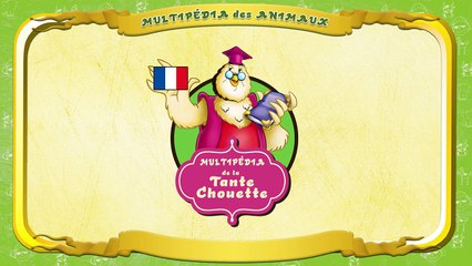 Multipédia des animaux La lettre P le Pic