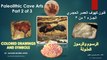 Paleolithic cave art secrets revealed-Part2 Colored Animal Drawings and Symbols