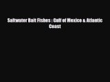 Download Saltwater Bait Fishes : Gulf of Mexico & Atlantic Coast Free Books
