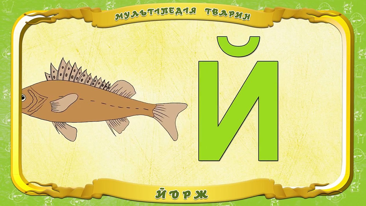 Мультiпедiя тварин вiд Літера Й Йорж