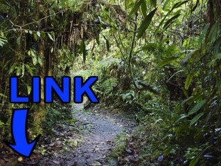 Fishing Planet steam key gratuit 2016 telecharger