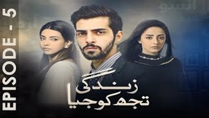 Zindagi Tujh Ko Jiya 05 Full - 29 Feb 2016