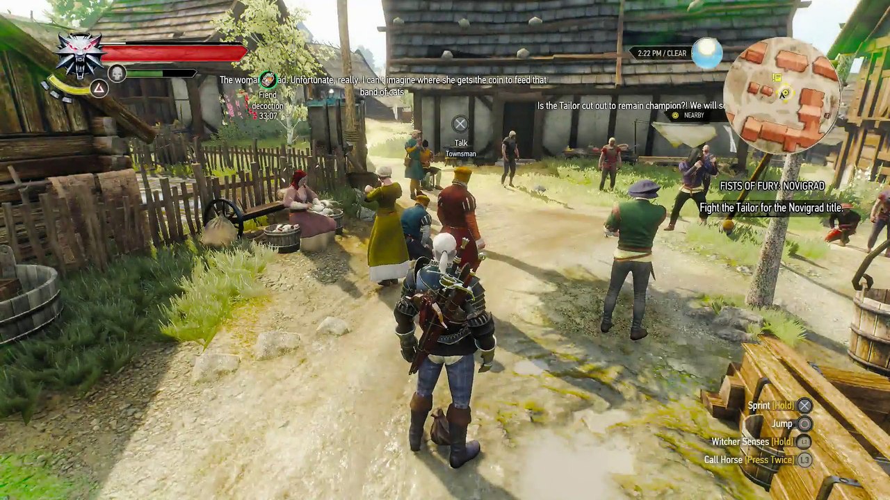 THE WITCHER 3 WALKTHROUGH PART 193 - FISTS OF FURY NOVIGRAD & THE SAD TALE OF THE GROSSBART BROTHERS