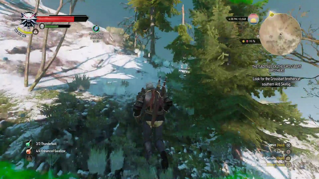 THE WITCHER 3 WALKTHROUGH PART 194 - THE SAD TALE OF THE GROSSBART BROTHERS