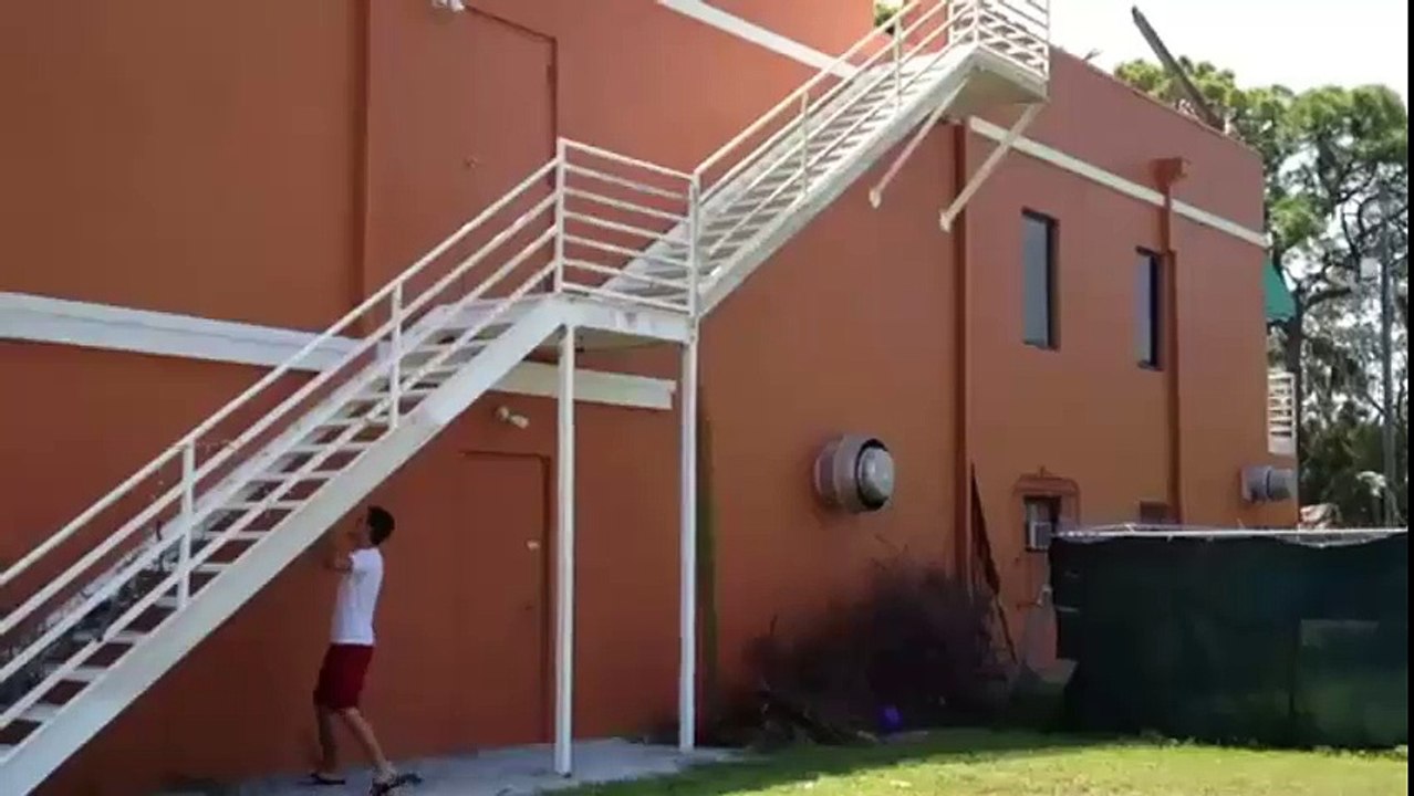 Climbing Steps Into a Wasp Nest Fail