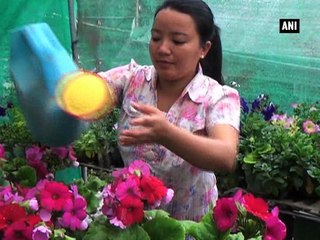 Sikkim floriculture industry a boon for local florists