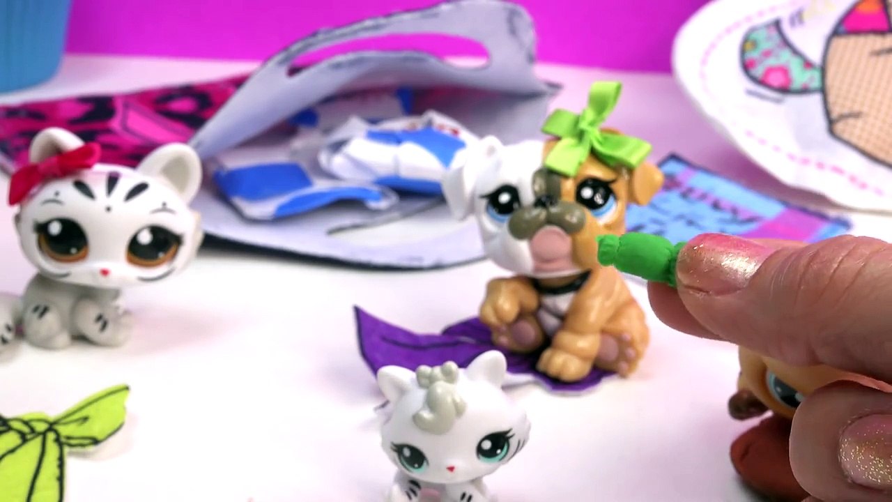 LPS Mystery Surprise Handmade Blind Bags Toys Fan Mail Littlest Pet Shop Unbo