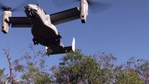 U.S. Marine & Aussie Army CV 22 Tactical Aerial Insertion