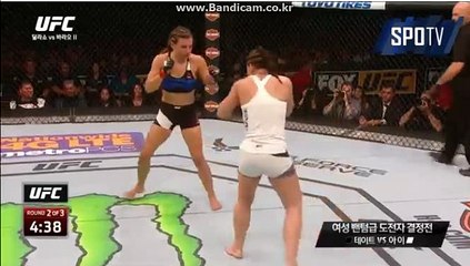 #사설사이트 솔루션 임대 및 판매 카톡:haricuty 스카이프:haricuty