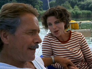 Das Schwein - Eine deutsche Karriere III  1995