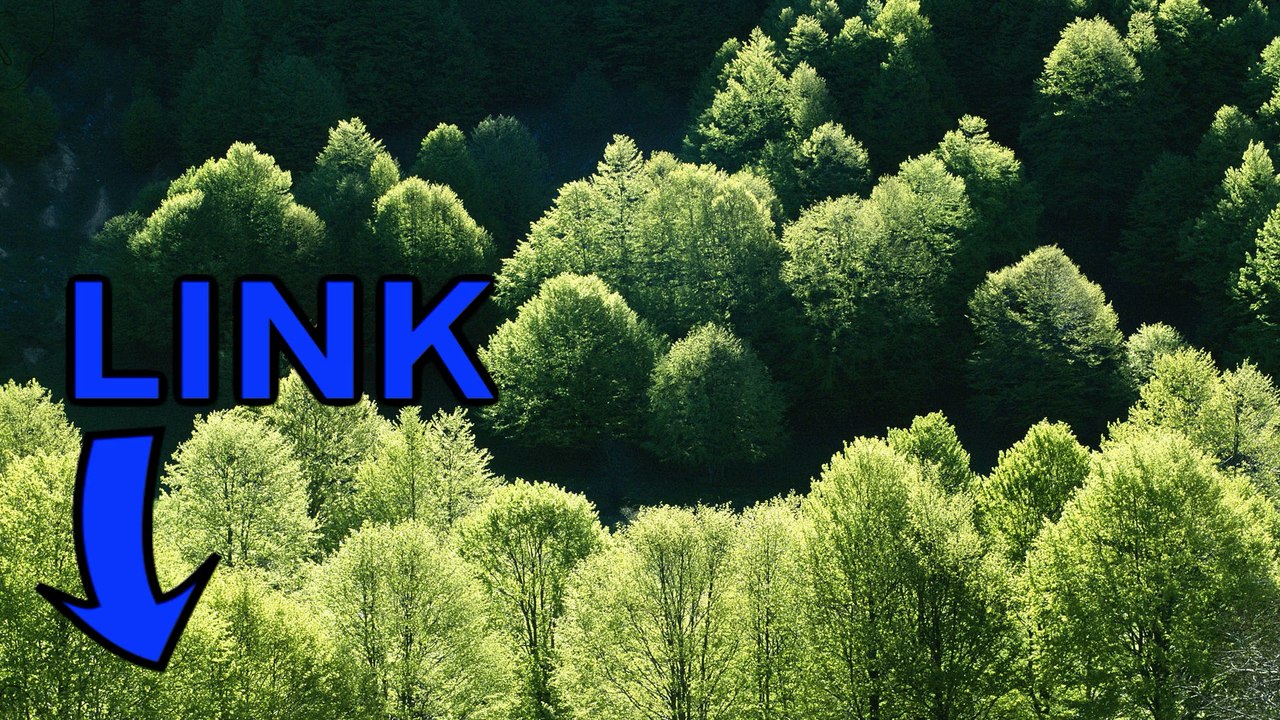 Star Trek Online steam key gratuit telecharger