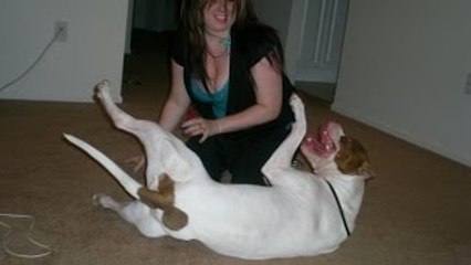 Girl playing with a pitbull dog xx