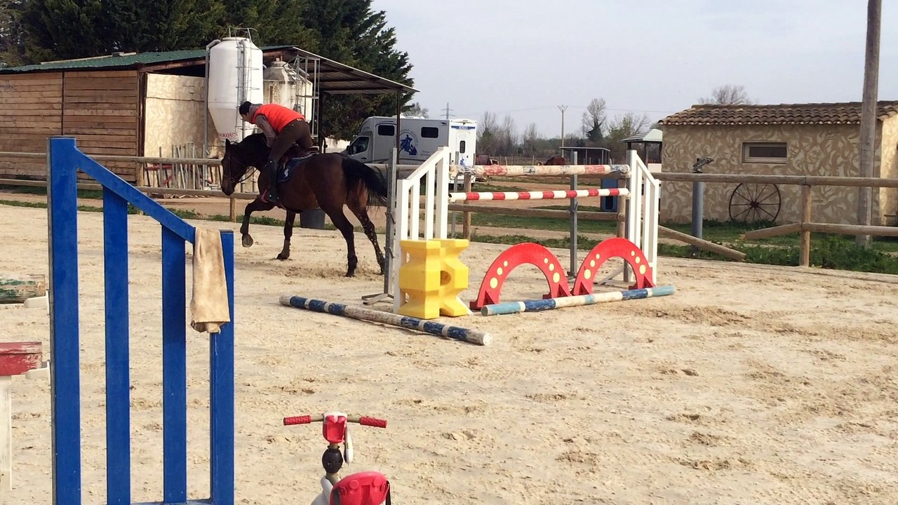 Jument 7 ans par Ugano Sitte x Rosire
