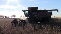Claas Lexion 760TT Combine Harvesting Soybeans