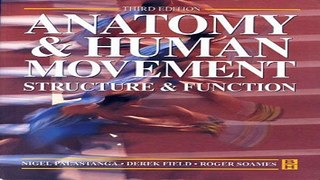 Download Anatomy and Human Movement  Structure and Function  3e  Physiotherapy Essentials