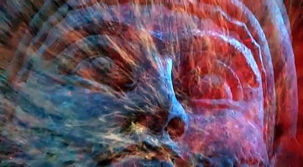 A short documentary about the Genocide going on in northern Iraq that nobody knowscares about.