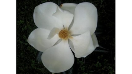 Diaporama de Pâques