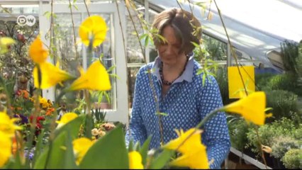 Spring sprucing: Gardening Tips for 2016 | Euromaxx